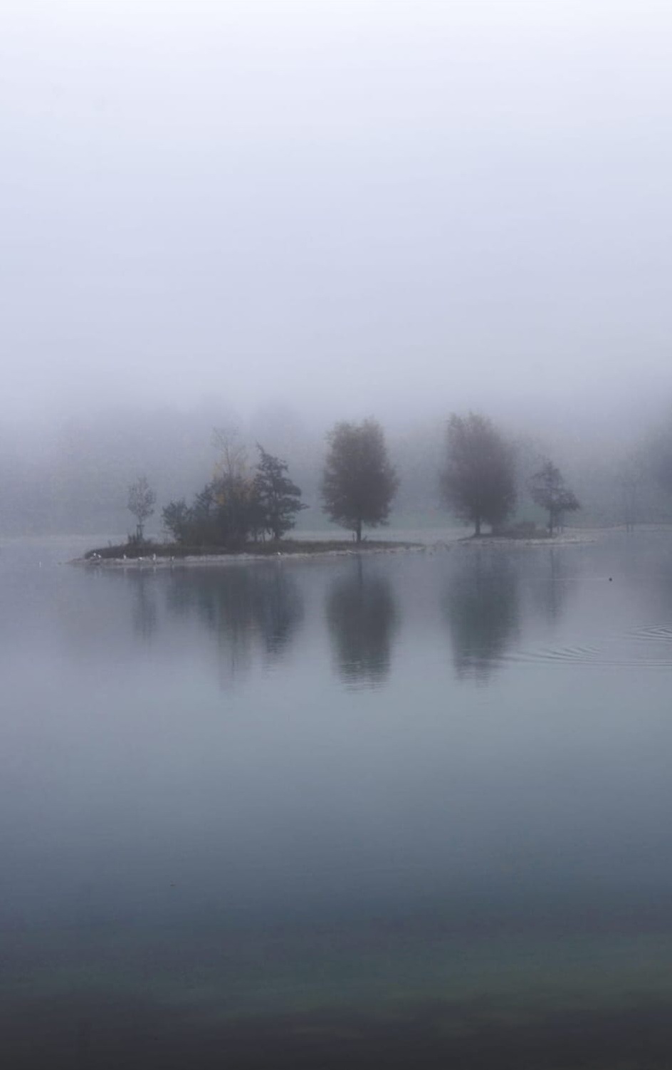 Nebelinsel mit Spiegelung im stillen See