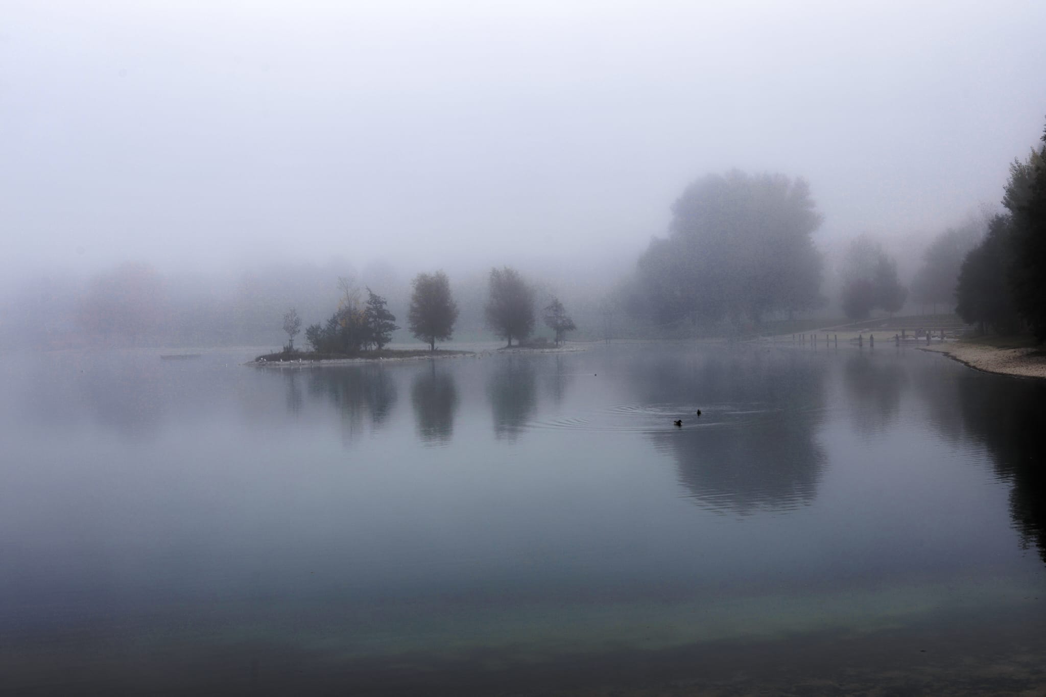 Nebellandschaft am See — Stille, Weite, Licht